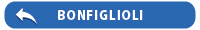 back-bonfiglioli